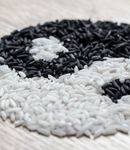 Rice yin yang Rice yin yang